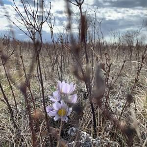 Meet your Posher, Karla